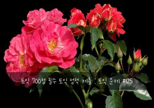 토익 700점 필수 토익 성적 제출 : 토익 문제 #125