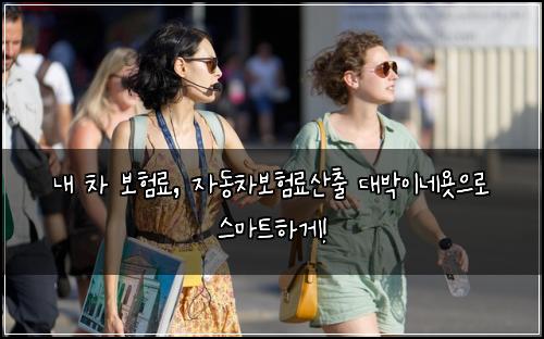  내 차 보험료, 자동차보험료산출 대박이네욧으로 스마트하게!