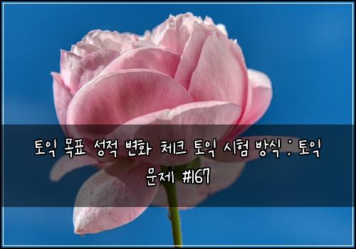 토익 목표 성적 변화 체크 토익 시험 방식 : 토익 문제 #167