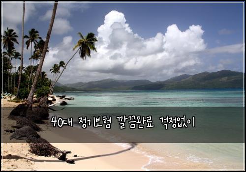 40대 정기보험 깔끔완료  걱정없이