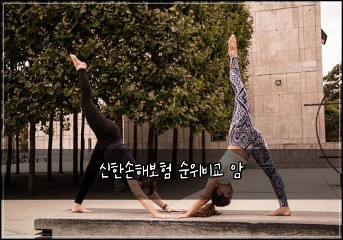 신한손해보험 순위비교  암