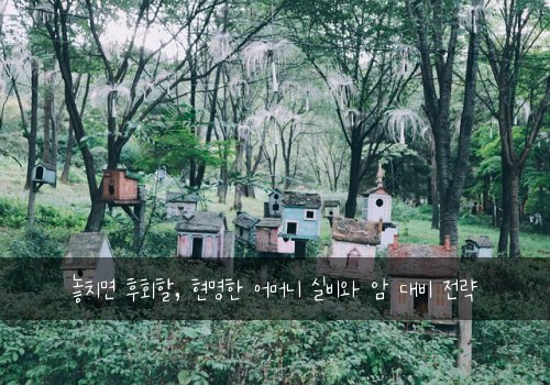  놓치면 후회할, 현명한 어머니 실비와 암 대비 전략