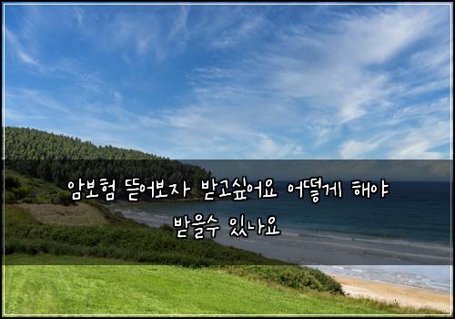 암보험 뜯어보자  받고싶어요 어떻게 해야 받을수 있나요
