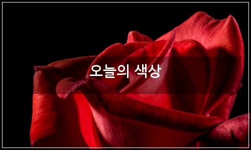 오늘의 이미지