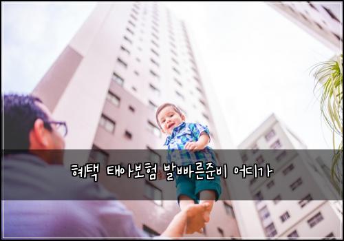혜택 태아보험 발빠른준비  어디가