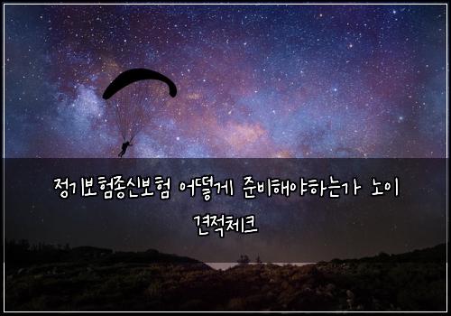 정기보험종신보험 어떻게 준비해야하는가 노이 견적체크
