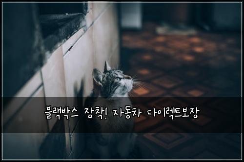 블랙박스 장착! 자동차 다이렉트보장