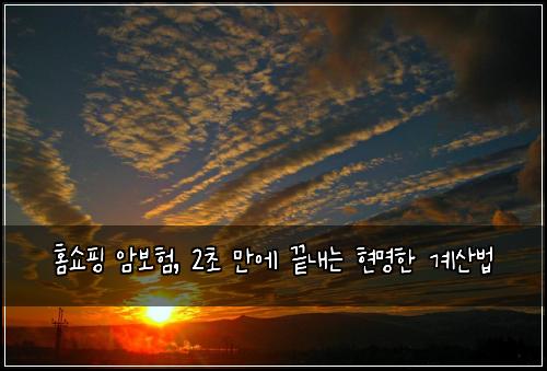 홈쇼핑 암보험, 2초 만에 끝내는 현명한 계산법