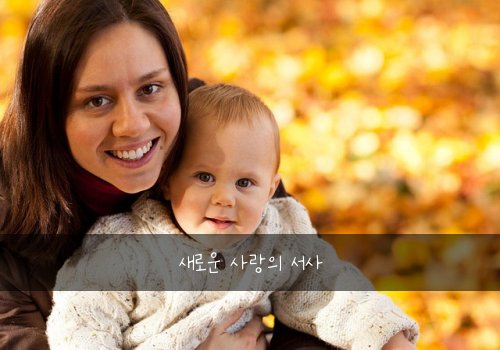 새로운 사랑의 서사