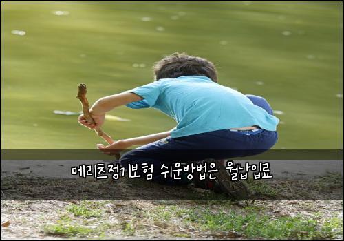 ๋ฉ๋ฆฌ์ธ ์ ๊ธฐ๋ณดํ ์ฌ์ด๋ฐฉ๋ฒ์ ์๋ฉ์
๋ฃ
