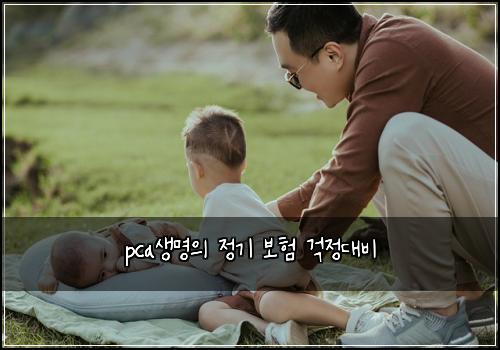 pca생명의 정기 보험 걱정대비 