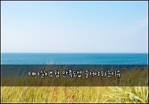 태아실비보험 만족도업  들어야하는이유