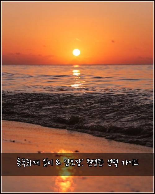 흥국화재 실비 & 암보장: 현명한 선택 가이드