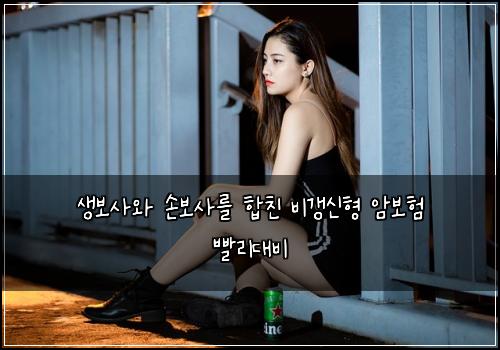 생보사와 손보사를 합친 비갱신형 암보험 빨리대비 