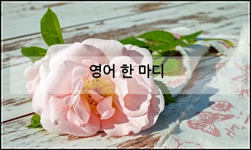 오늘의 이미지
