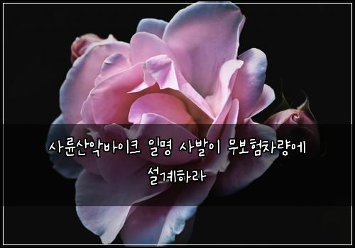 ์ฌ๋ฅ์ฐ์
๋ฐ์ดํฌ ์ผ๋ช
์ฌ๋ฐ์ด ๋ฌด๋ณดํ์ฐจ๋์ ์ค๊ณํ๋ผ