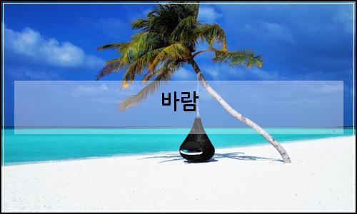 오늘의 이미지