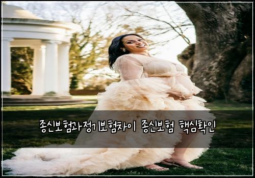 종신보험과정기보험차이 종신보험 핵심확인