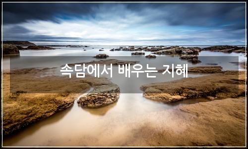 오늘의 이미지