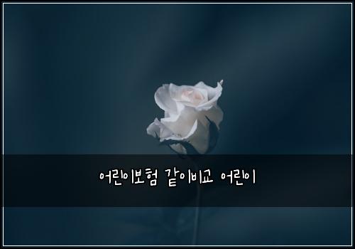 어린이보험 같이비교  어린이