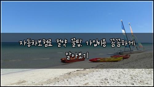 자동차보험료 절약 꿀팁: 가입비용 꼼꼼하게 알아보기
