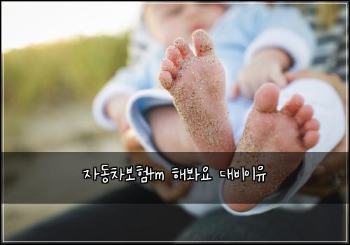 자동차보험tm 해봐요 대비이유