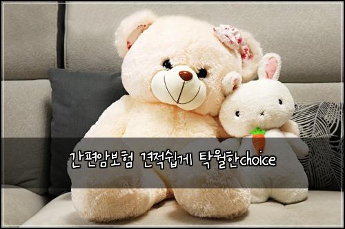 간편암보험 견적쉽게  탁월한choice