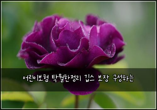 ์ด๋ฆฐ์ด๋ณดํ ํ์ํ์ ๋ฆฌ ๊น์ค ๋ณด์ฅ ๊ตฌ์ฑํ๋