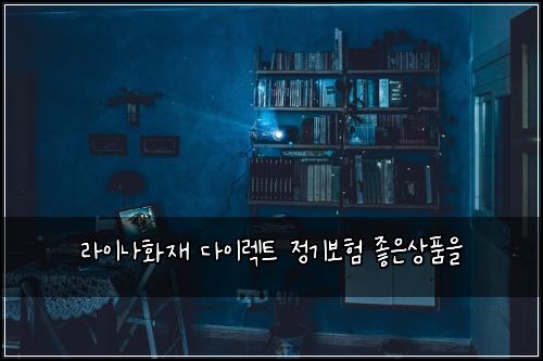 라이나화재 다이렉트 정기보험 좋은상품을 