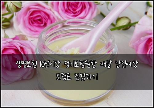 생명보험 10년이상 정기보험원함 매달 납입예상 보험료 점검하기