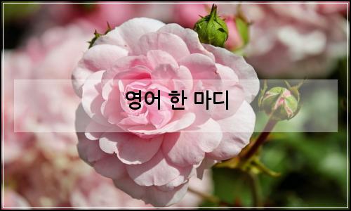 오늘의 이미지