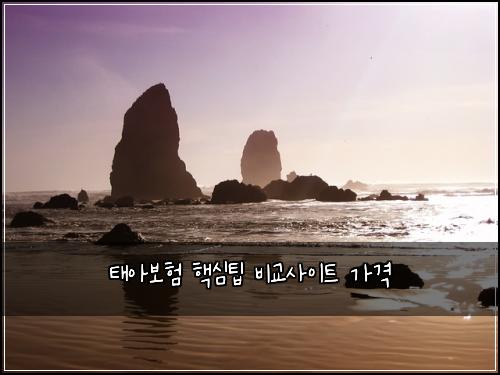 태아보험 핵심팁  비교사이트 가격