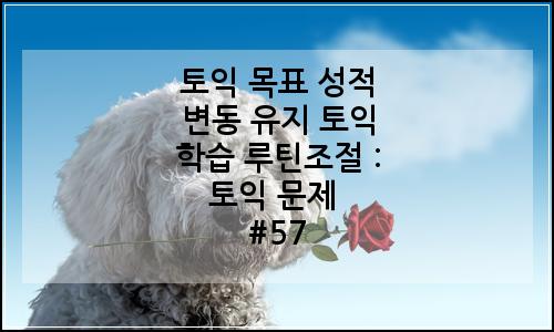오늘의 이미지