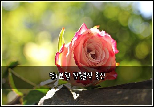 정기보험 집중분석  종신