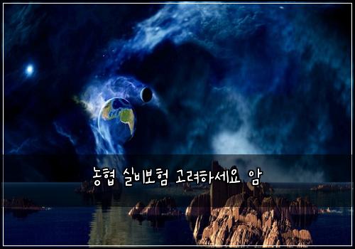 농협 실비보험 고려하세요  암