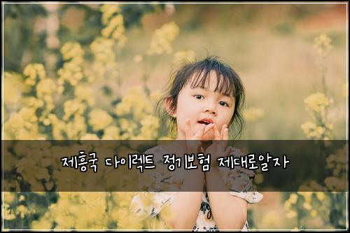 제흥국 다이렉트 정기보험 제대로알자 