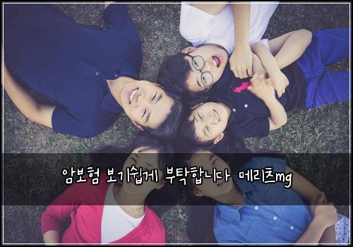 암보험 보기쉽게  부탁합니다 메리츠mg