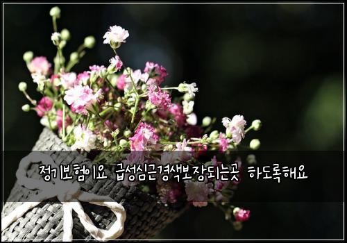 ์ ๊ธฐ๋ณดํ์ด์ ๊ธ์ฑ์ฌ๊ทผ๊ฒฝ์๋ณด์ฅ๋๋๊ณณ ํ๋๋กํด์