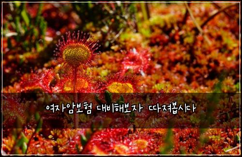 여자암보험 대비해보자  따져봅시다