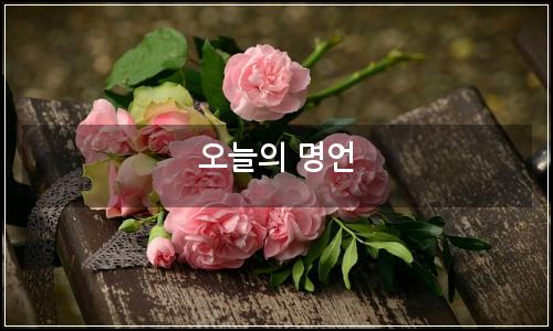 오늘의 이미지