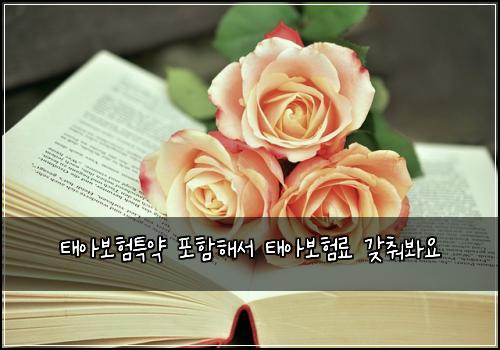 태아보험특약 포함해서 태아보험료 갖춰봐요
