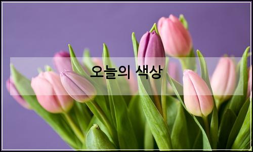 오늘의 이미지