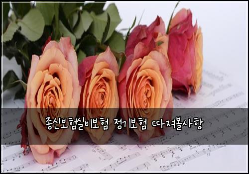 종신보험실비보험 정기보험 따져볼사항