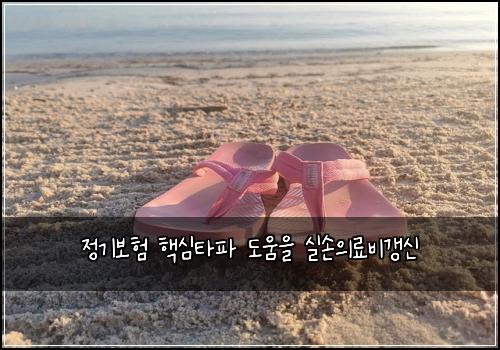 정기보험 핵심타파  도움을 실손의료비갱신