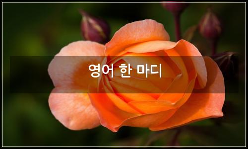 오늘의 이미지