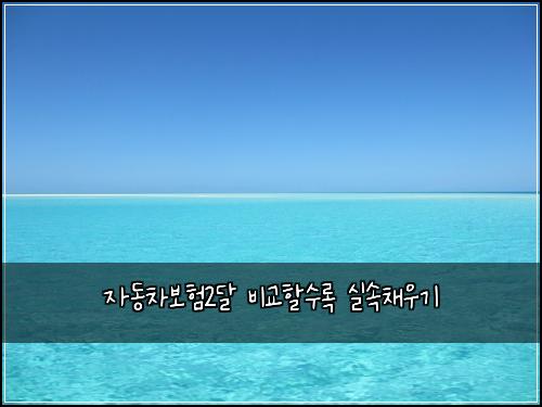 자동차보험2달 비교할수록 실속채우기