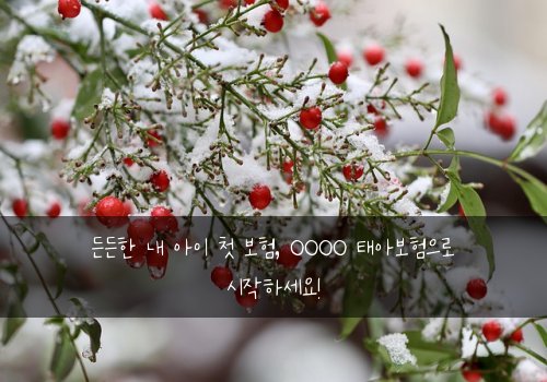 든든한 내 아이 첫 보험, OOOO 태아보험으로 시작하세요!