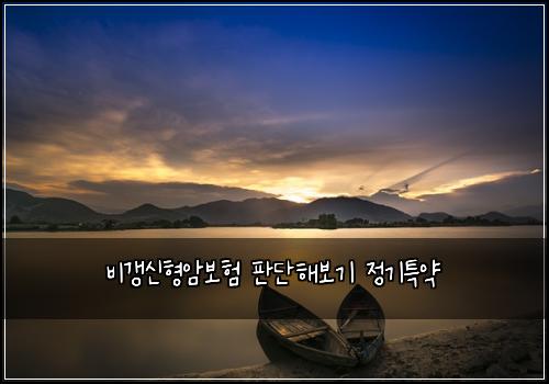 비갱신형암보험 판단해보기  정기특약