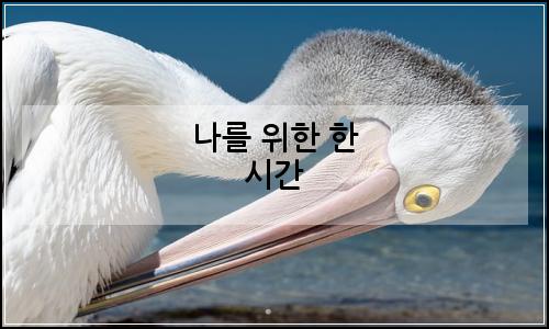 오늘의 이미지
