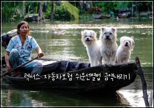 렉서스 자동차보험 쉬운선별법  금액내리기